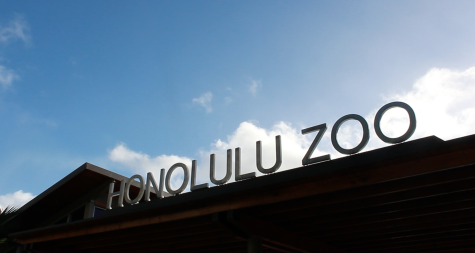 Loss of accreditation demands reliable funding for Honolulu Zoo