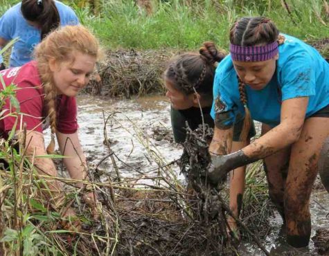 Papahana Kualoa provides cultural service opportunity