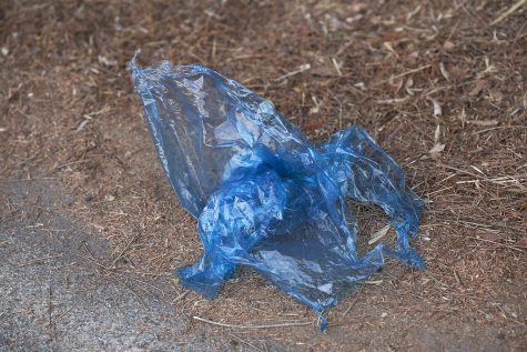 Oahu’s two-year-old plastic bag ban: Is it working?