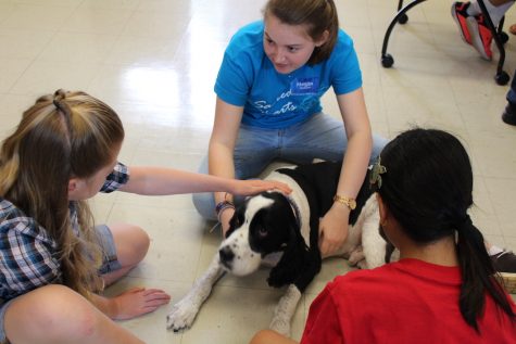 Symposium inspires girls in STEM