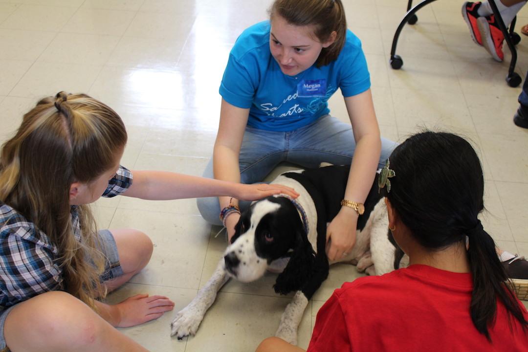 Student volunteer and Academy junior Megan Mattison helps with the “World of Veterinary Medicine,” a workshop at this year’s Science Symposium that explores the life of veterinarians. Photo by Shelby Mattos.