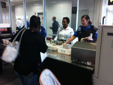 Traveler’s Guide to TSA