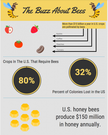 Bittersweet: Fate of the honeybees