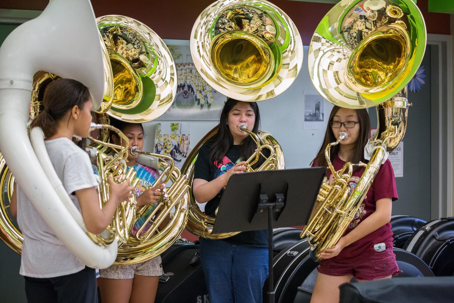 Tuba section