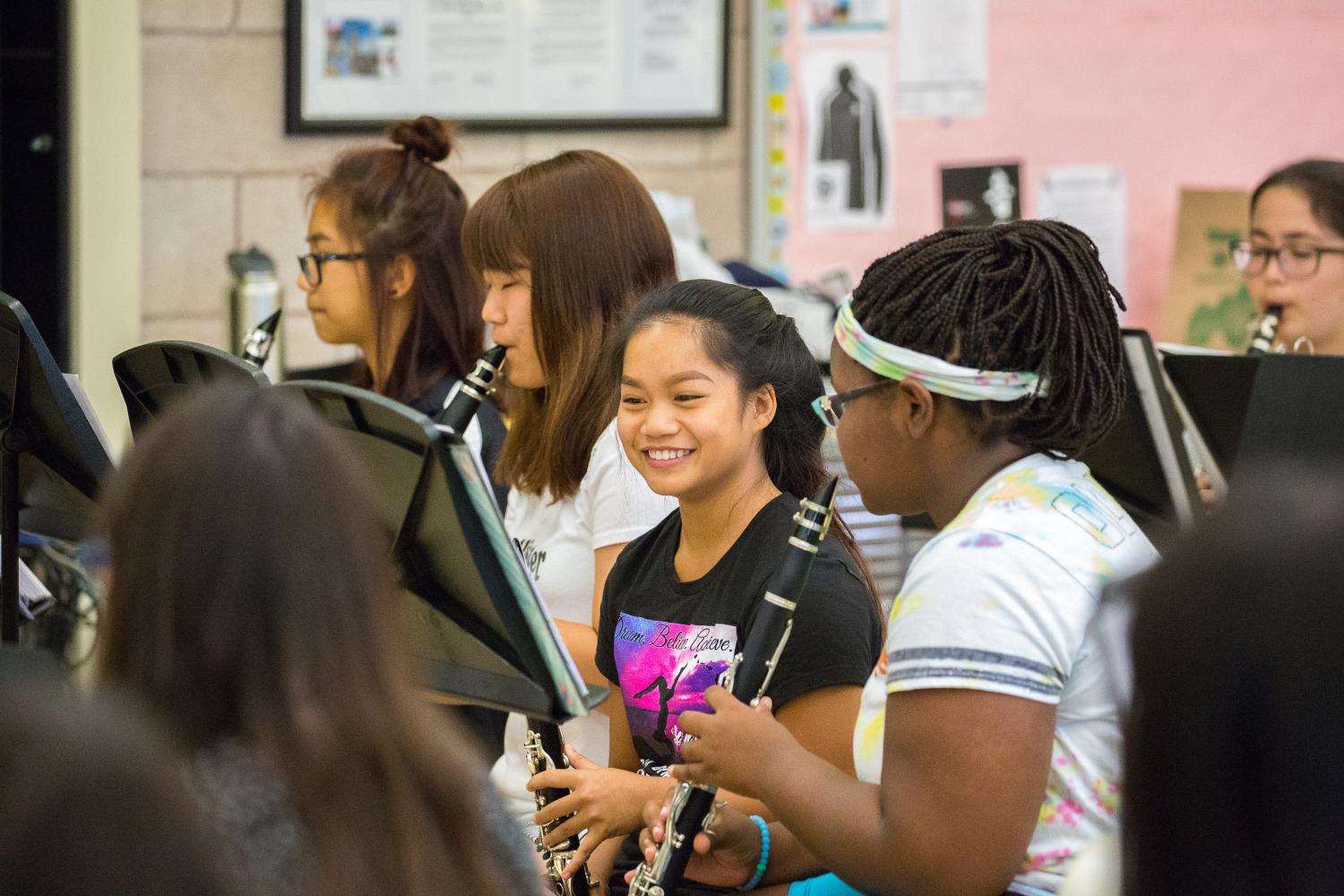 Clarinet section