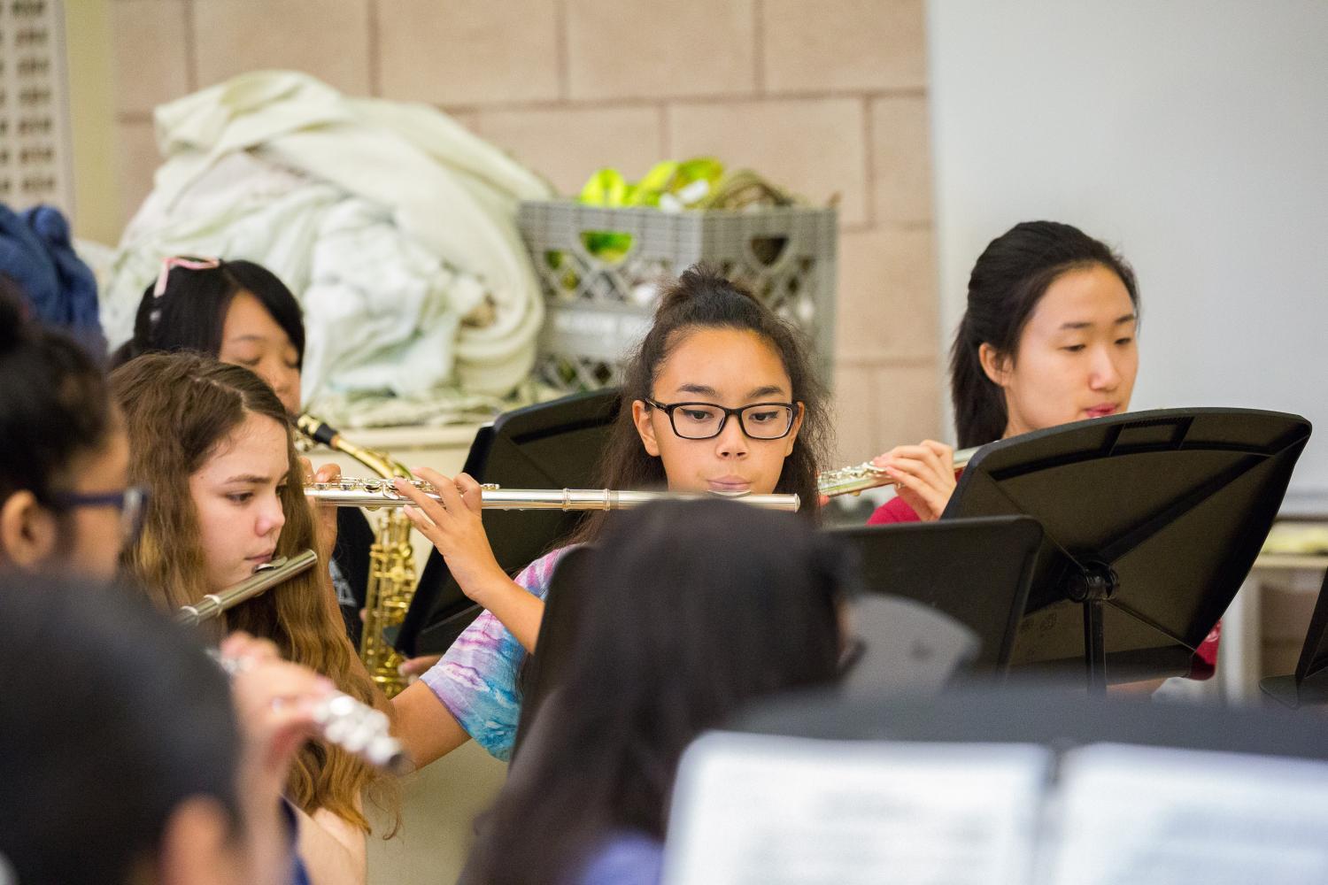Flute section