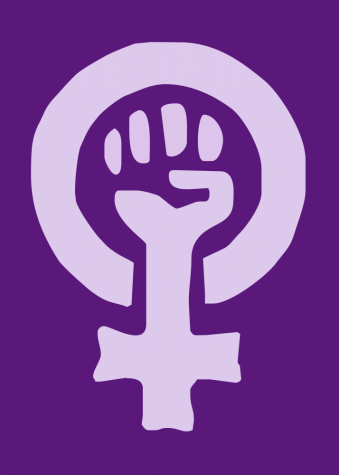 Feminism for dummies