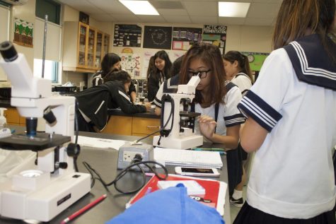 Young ‘biologists’ work with garlic and coffee