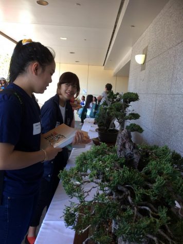 Academy students learn about Japanese culture at an annual festival