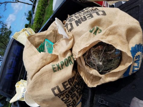 Students make small changes for a sustainable future