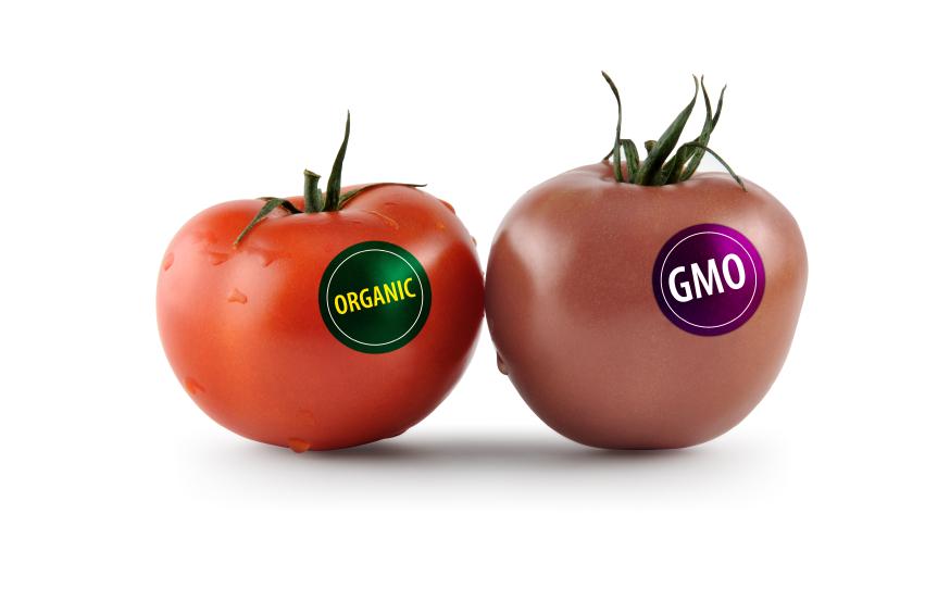 Genetically modified foods need proper labeling