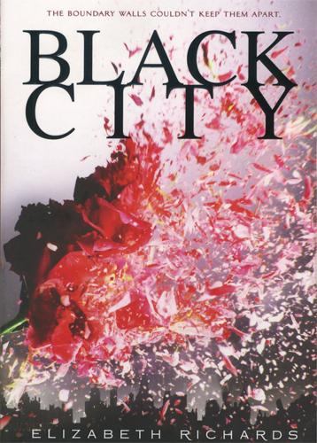 ‘Black City’ provides danger, vampires and forbidden romance 	 