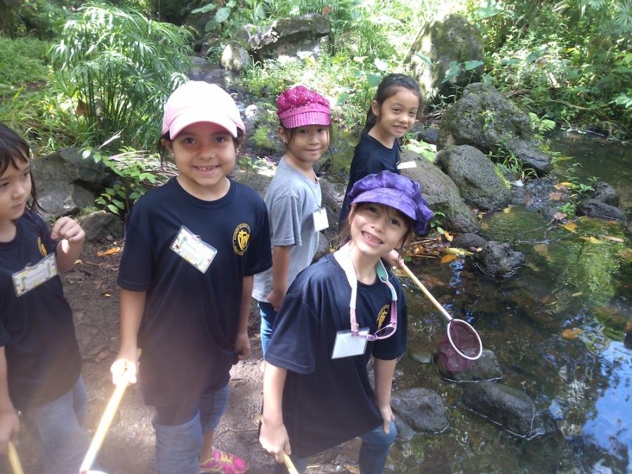 First graders Emilie Cosseboom, Sophia Martinez, Ellen Ha, Kira Chu-Maxson and Keilani Anderson learned about plant cycles and insect habits on a field trip to the Hawaii Nature Center. 
