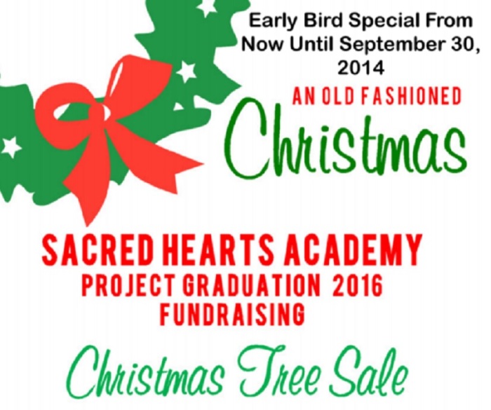 Juniors sponsor Christmas tree sales for Project Grad