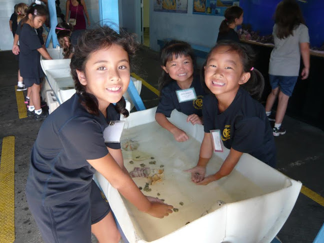 Second graders learn about life cycles at Marine Center