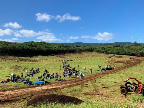 Sacred Hearts Academy students and teachers helped plant 10,000 trees at Gunstock Ranch in Kahuku. The initiative is part of the Carbon Neutrality Challenge, which aims to make Hawaii the first carbon-neutral state. Photo courtesy of Camilo Mora.