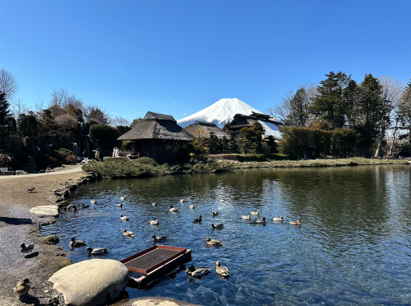 Off-the-beaten-path of Japan