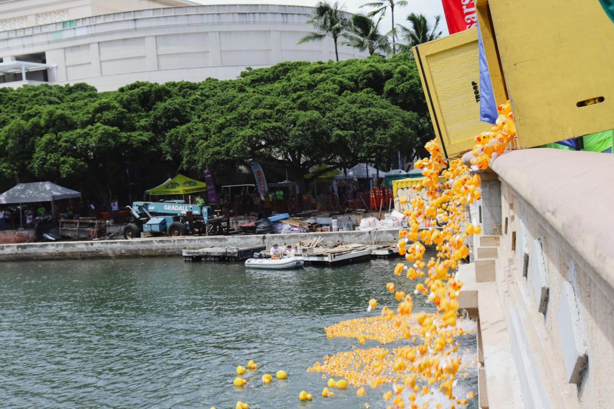 Watch out! Rubber ducks are on the loose, floating down the Ala Wai Canal. Photo courtesy of Tyler Beissel.