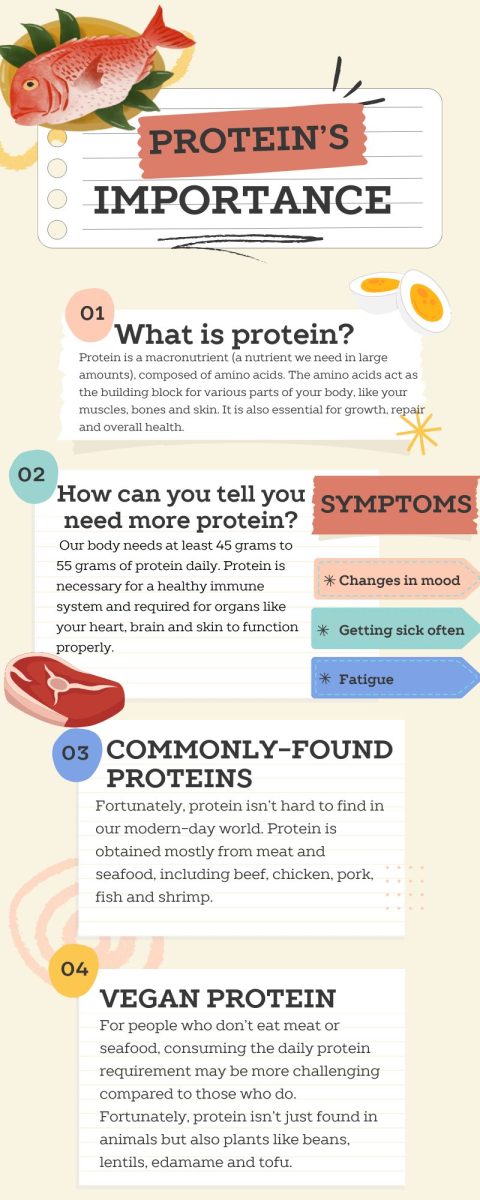 You’re not getting enough protein. Here’s how to fix that!